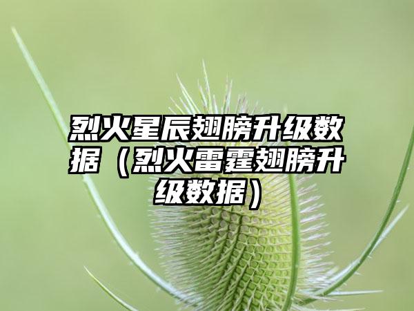 烈火星辰翅膀升级数据（烈火雷霆翅膀升级数据）