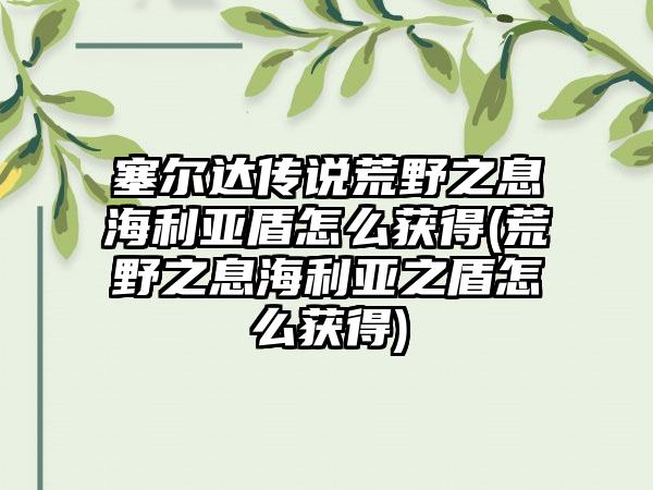 塞尔达传说荒野之息海利亚盾怎么获得(荒野之息海利亚之盾怎么获得)