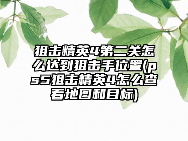 狙击精英4第二关怎么达到狙击手位置(ps5狙击精英4怎么查看地图和目标)