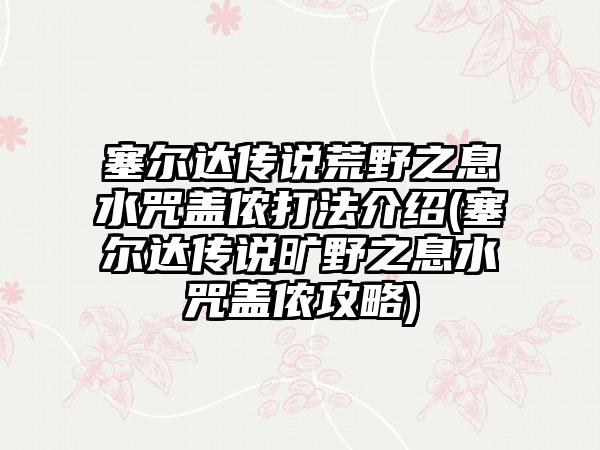 塞尔达传说荒野之息水咒盖侬打法介绍(塞尔达传说旷野之息水咒盖侬攻略)