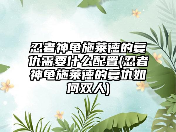 忍者神龟施莱德的复仇需要什么配置(忍者神龟施莱德的复仇如何双人)