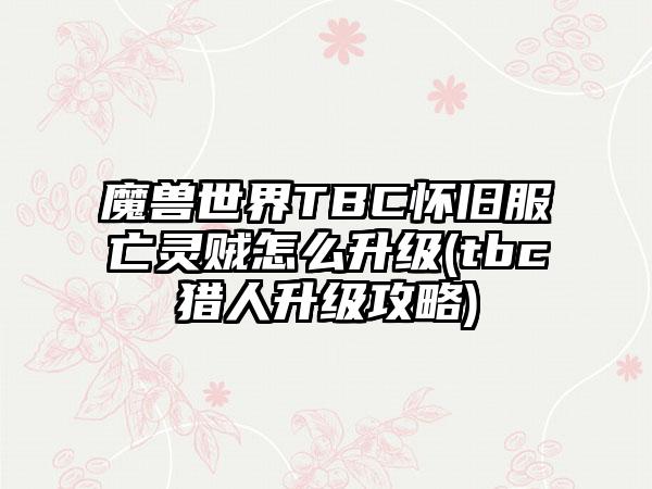 魔兽世界TBC怀旧服亡灵贼怎么升级(tbc猎人升级攻略)