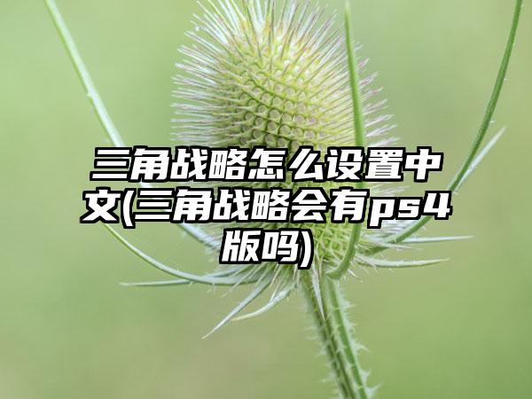 三角战略怎么设置中文(三角战略会有ps4版吗)