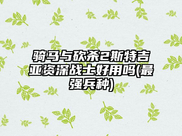 骑马与砍杀2斯特吉亚资深战士好用吗(最强兵种)