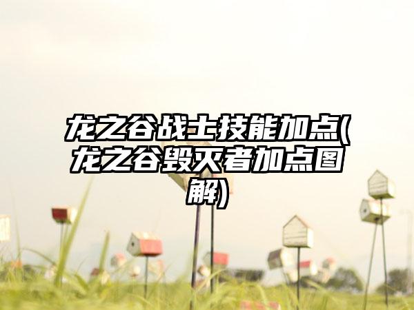 龙之谷战士技能加点(龙之谷毁灭者加点图解)