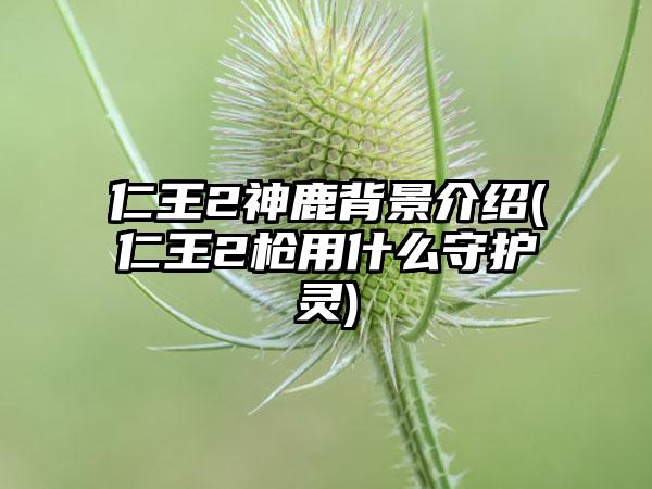 仁王2神鹿背景介绍(仁王2枪用什么守护灵)