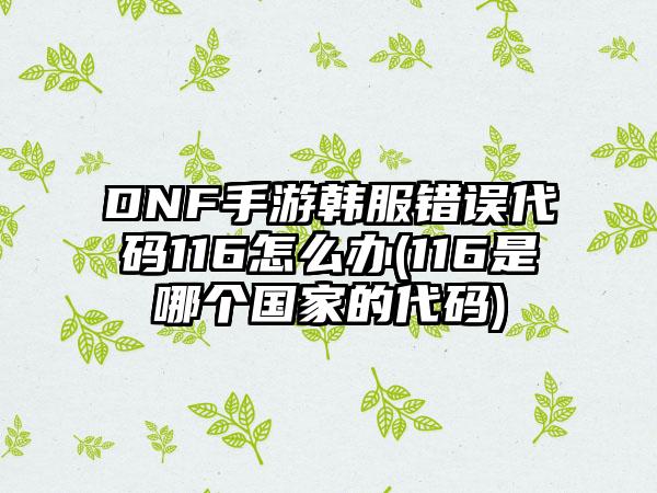 DNF手游韩服错误代码116怎么办(116是哪个国家的代码)