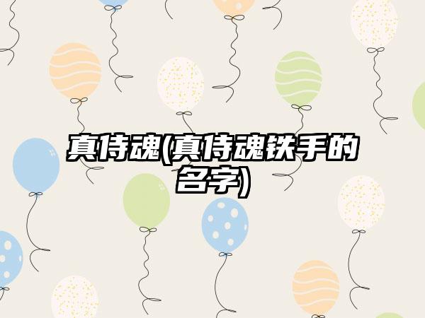 真侍魂(真侍魂铁手的名字)