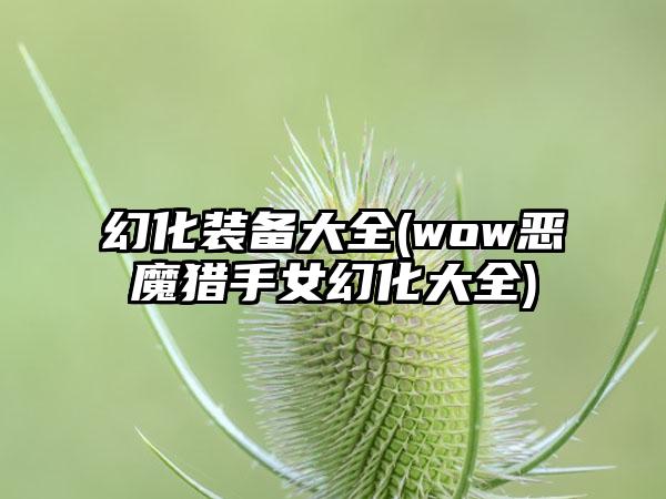 幻化装备大全(wow恶魔猎手女幻化大全)