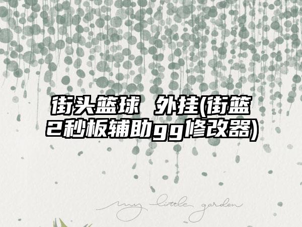 街头篮球 外挂(街篮2秒板辅助gg修改器)