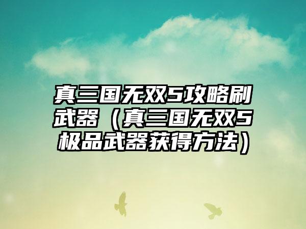 真三国无双5攻略刷武器（真三国无双5极品武器获得方法）