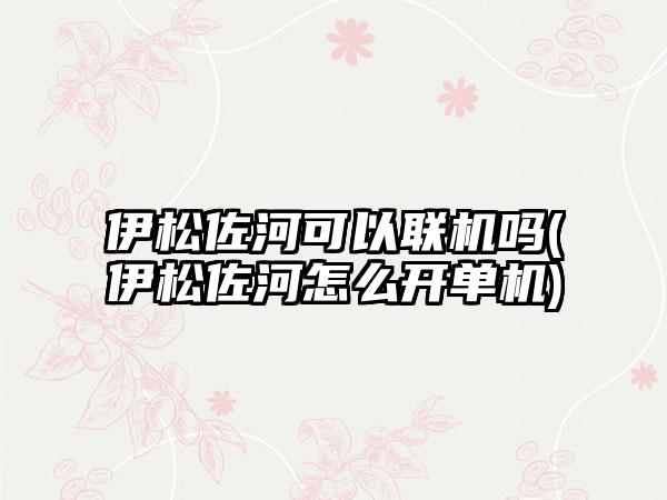 伊松佐河可以联机吗(伊松佐河怎么开单机)