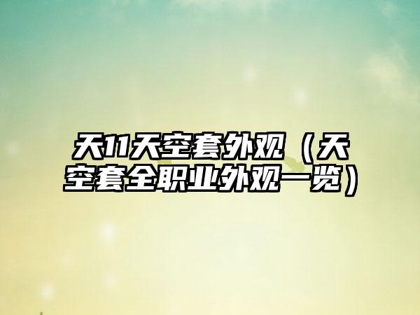 天11天空套外观（天空套全职业外观一览）