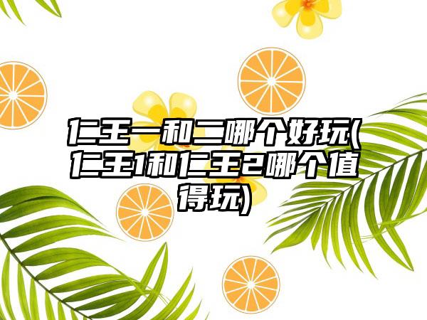 仁王一和二哪个好玩(仁王1和仁王2哪个值得玩)