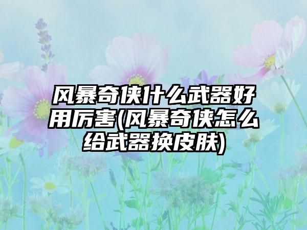 风暴奇侠什么武器好用厉害(风暴奇侠怎么给武器换皮肤)