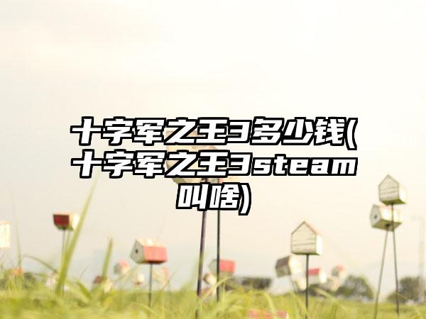 十字军之王3多少钱(十字军之王3steam叫啥)