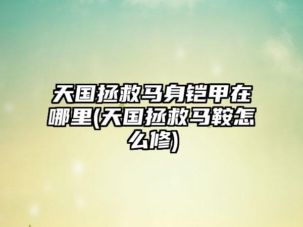 天国拯救马身铠甲在哪里(天国拯救马鞍怎么修)