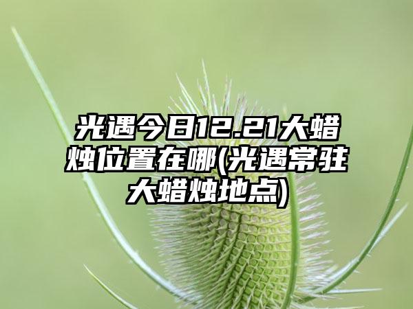 光遇今日12.21大蜡烛位置在哪(光遇常驻大蜡烛地点)