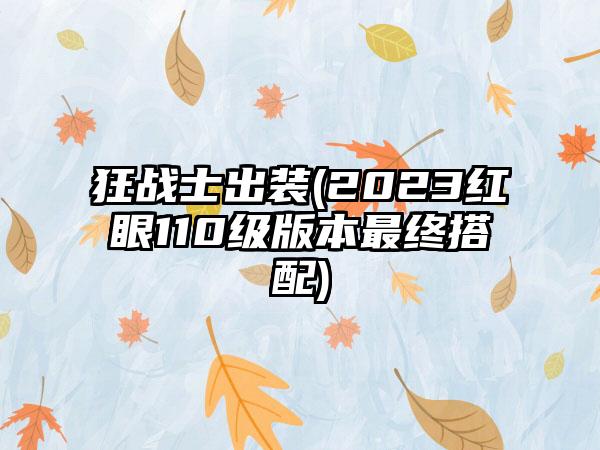 狂战士出装(2023红眼110级版本最终搭配)