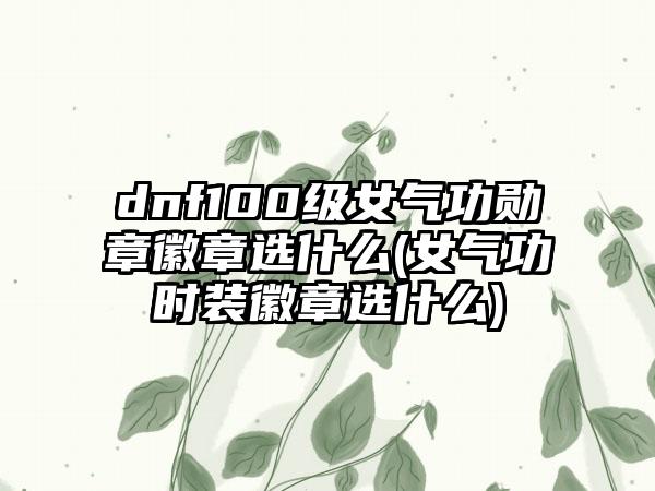 dnf100级女气功勋章徽章选什么(女气功时装徽章选什么)