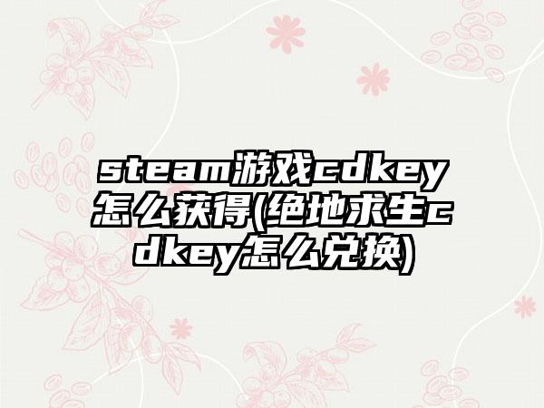 steam游戏cdkey怎么获得(绝地求生cdkey怎么兑换)