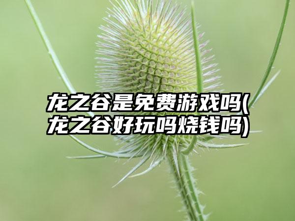 龙之谷是免费游戏吗(龙之谷好玩吗烧钱吗)