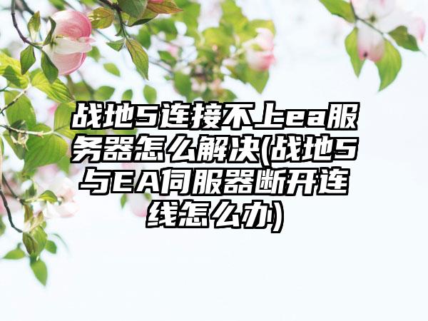战地5连接不上ea服务器怎么解决(战地5与EA伺服器断开连线怎么办)