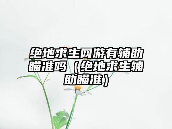 绝地求生网游有辅助瞄准吗（绝地求生辅助瞄准）