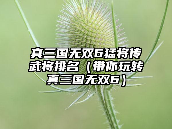 真三国无双6猛将传武将排名（带你玩转真三国无双6）