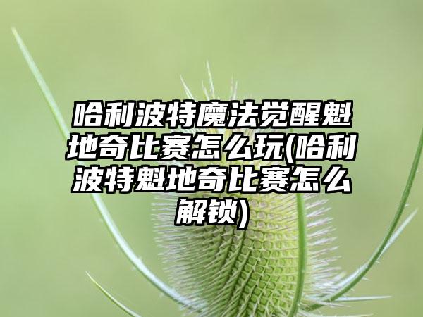 哈利波特魔法觉醒魁地奇比赛怎么玩(哈利波特魁地奇比赛怎么解锁)