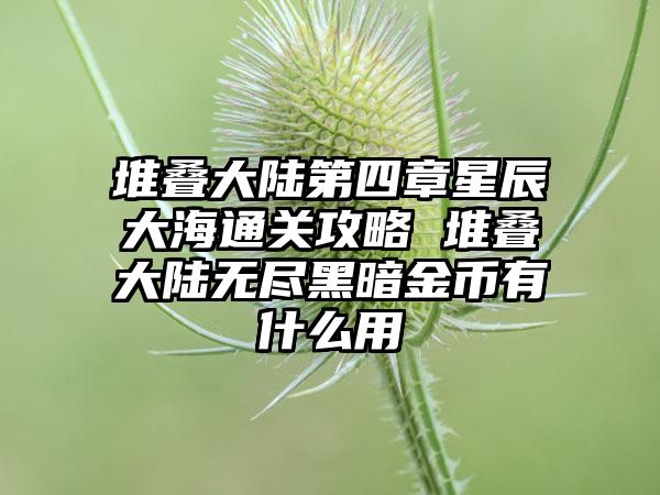 堆叠大陆第四章星辰大海通关攻略 堆叠大陆无尽黑暗金币有什么用