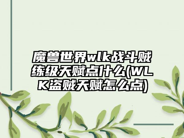 魔兽世界wlk战斗贼练级天赋点什么(WLK盗贼天赋怎么点)