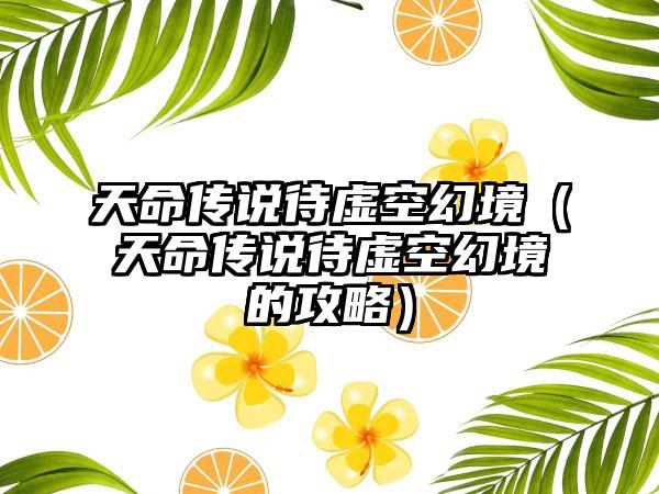 天命传说待虚空幻境（天命传说待虚空幻境的攻略）