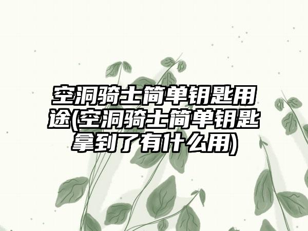 空洞骑士简单钥匙用途(空洞骑士简单钥匙拿到了有什么用)