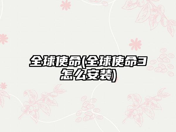 全球使命(全球使命3怎么安装)