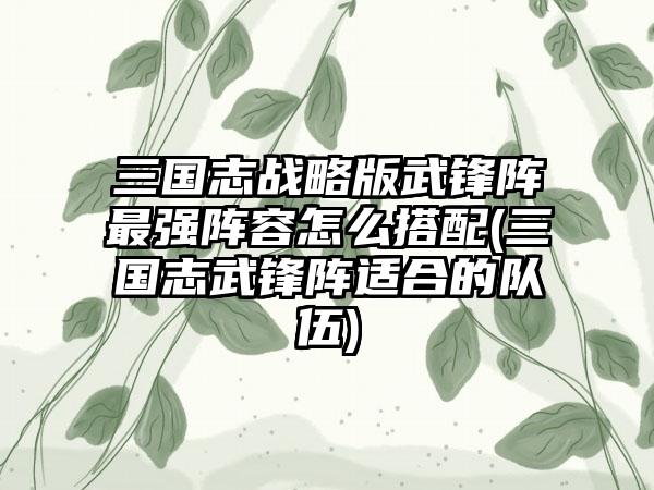 三国志战略版武锋阵最强阵容怎么搭配(三国志武锋阵适合的队伍)