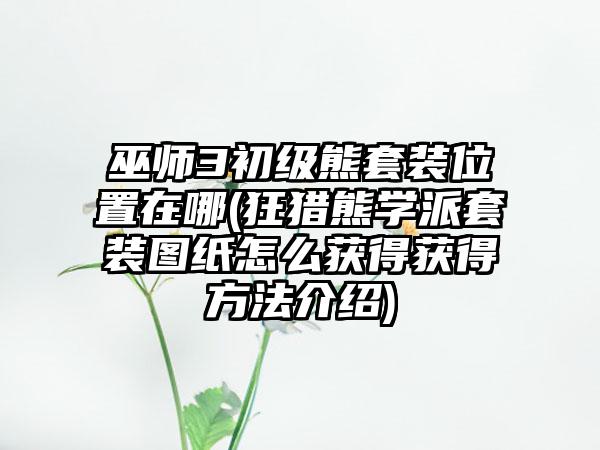巫师3初级熊套装位置在哪(狂猎熊学派套装图纸怎么获得获得方法介绍)