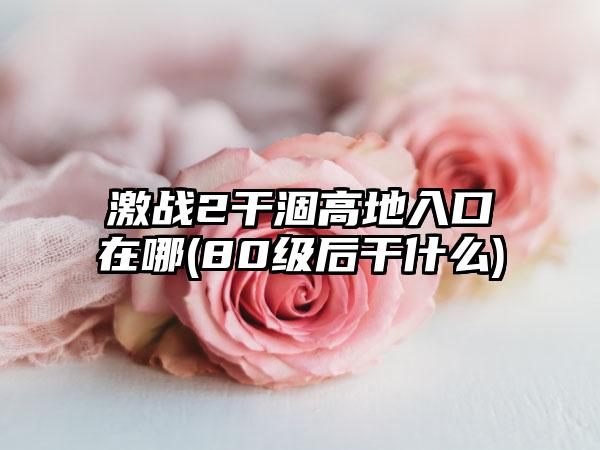 激战2干涸高地入口在哪(80级后干什么)