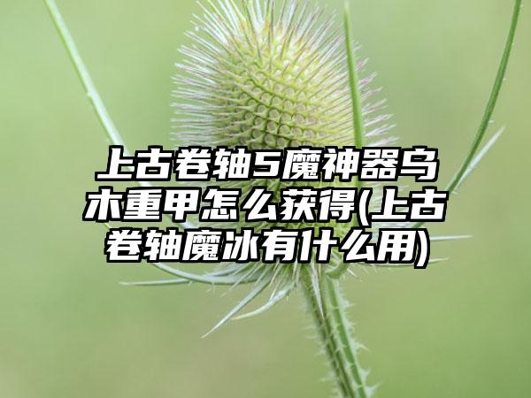 上古卷轴5魔神器乌木重甲怎么获得(上古卷轴魔冰有什么用)