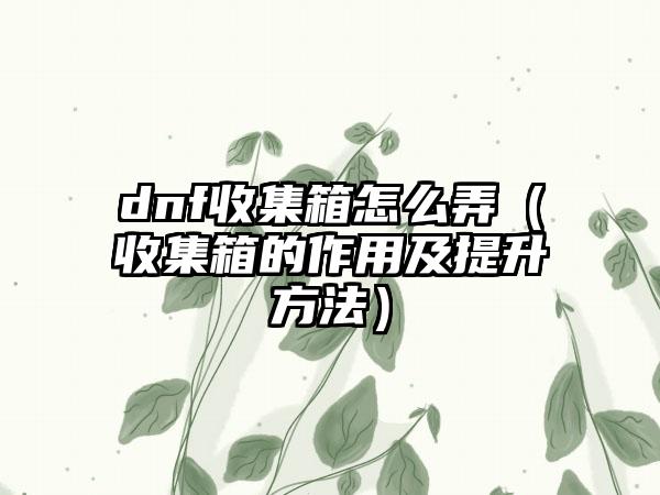 dnf收集箱怎么弄（收集箱的作用及提升方法）