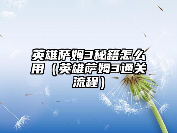 英雄萨姆3秘籍怎么用（英雄萨姆3通关流程）