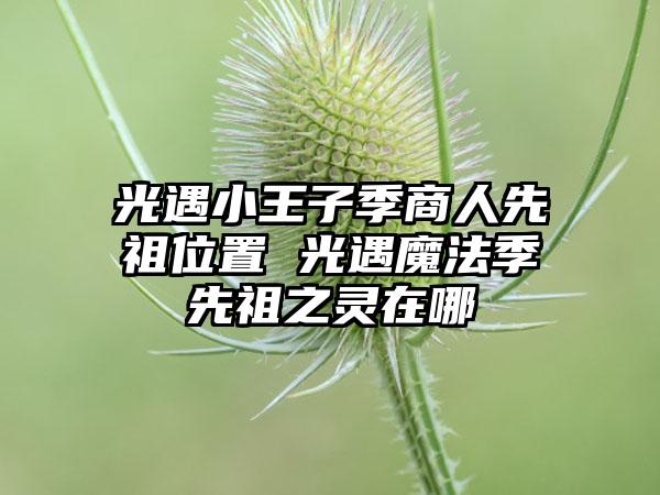 光遇小王子季商人先祖位置 光遇魔法季先祖之灵在哪