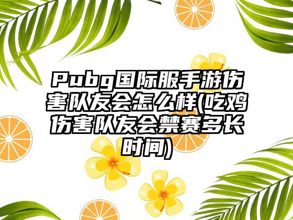 Pubg国际服手游伤害队友会怎么样(吃鸡伤害队友会禁赛多长时间)