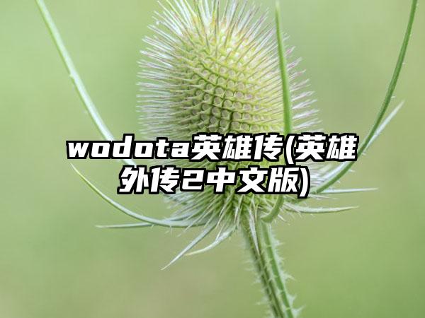 wodota英雄传(英雄外传2中文版)