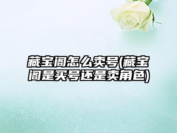 藏宝阁怎么卖号(藏宝阁是买号还是卖角色)