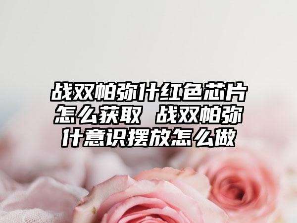 战双帕弥什红色芯片怎么获取 战双帕弥什意识摆放怎么做