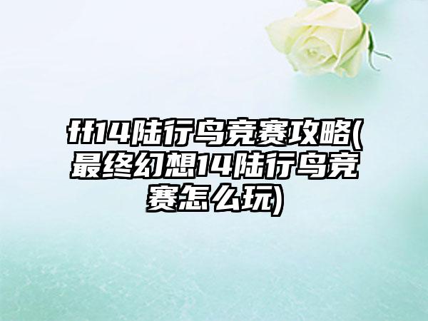 ff14陆行鸟竞赛攻略(最终幻想14陆行鸟竞赛怎么玩)