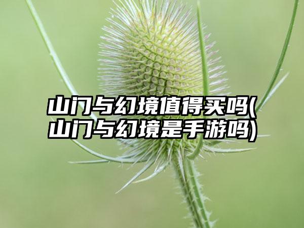 山门与幻境值得买吗(山门与幻境是手游吗)
