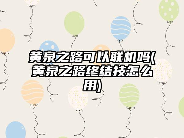 黄泉之路可以联机吗(黄泉之路终结技怎么用)