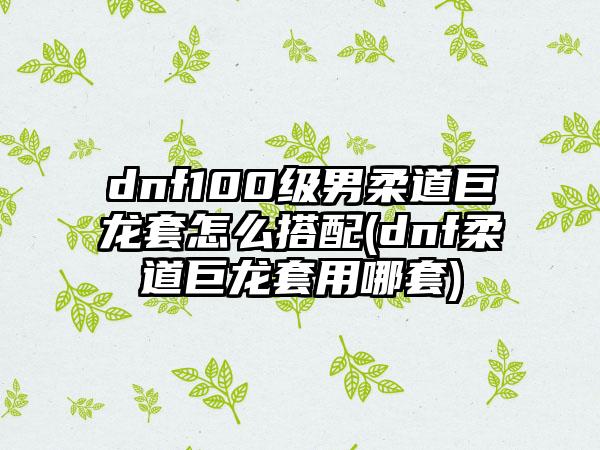 dnf100级男柔道巨龙套怎么搭配(dnf柔道巨龙套用哪套)